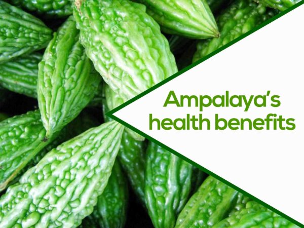 Get To Know The Health Benefits Of Each Ampalaya Plus Ingredient