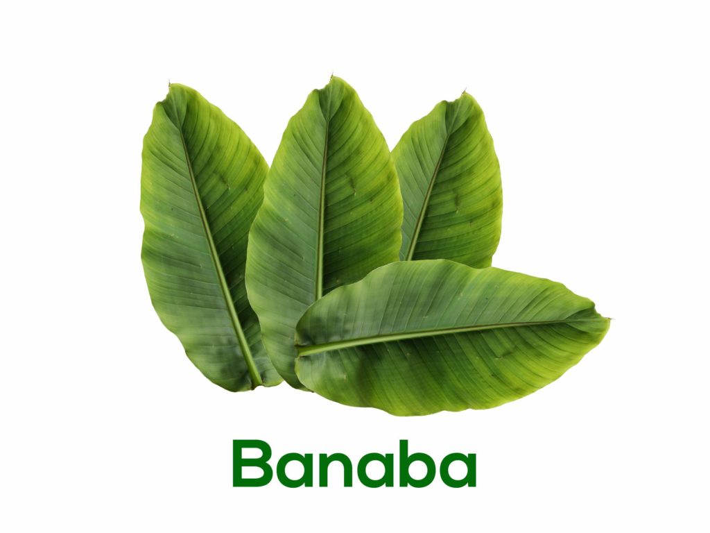 banaba's health benefit for diabetics