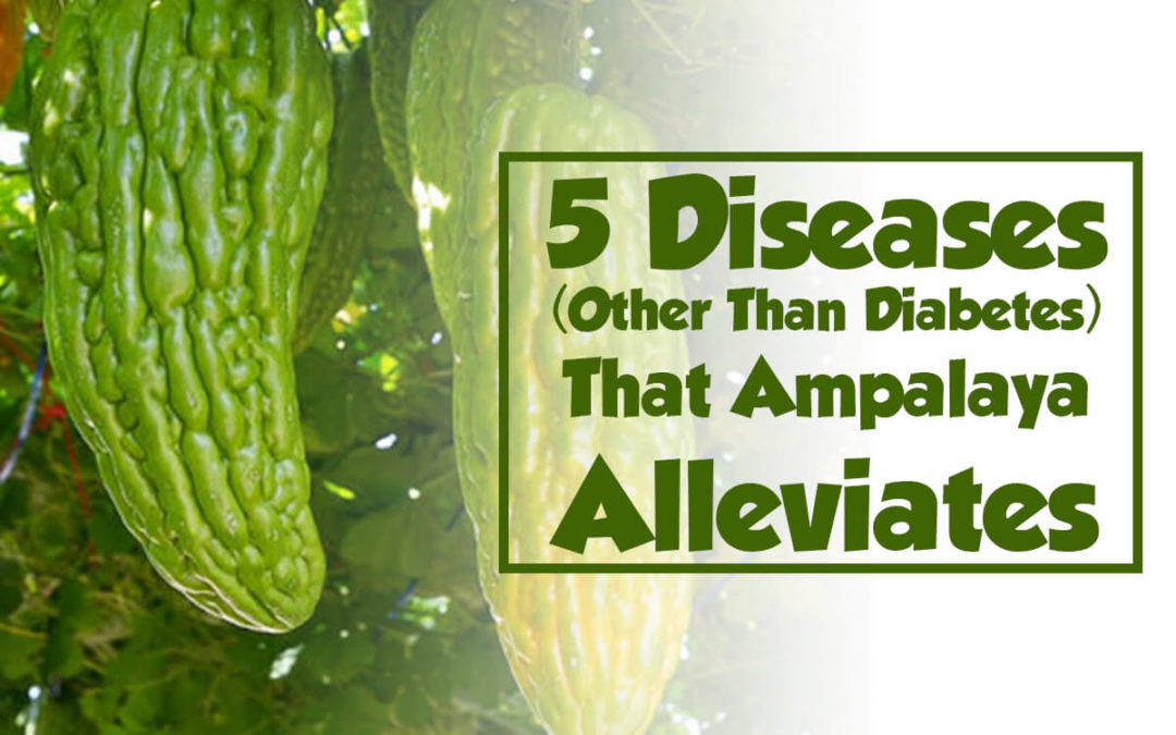 5 Diseases (Other Than Diabetes) That Ampalaya Alleviates