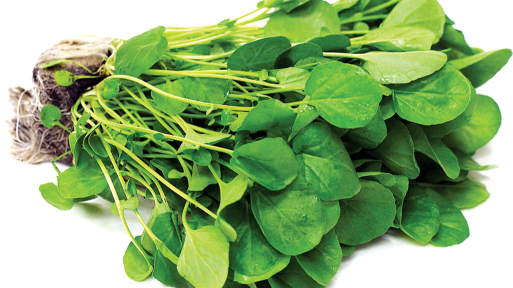 5 Medicinal Vegetables and Their Health Benefits