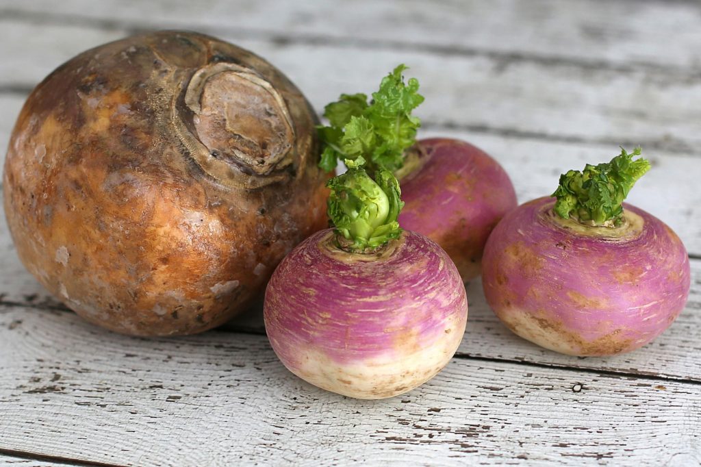5 Superfood Vegetables to Include in Your Diet