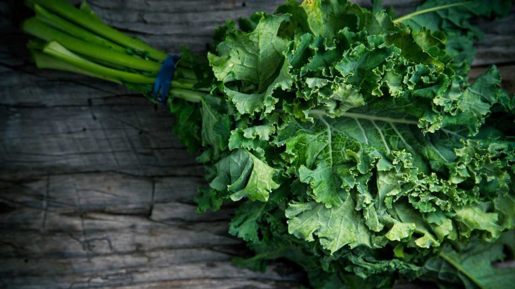 5 Healthy Leafy Vegetables to Include in Your Diet