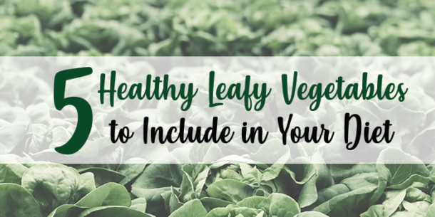 5 Healthy Leafy Vegetables To Include In Your Diet Ampalaya Plus